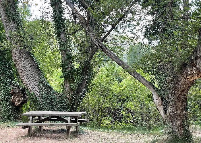 Casa rural El Hortal I Lloo *